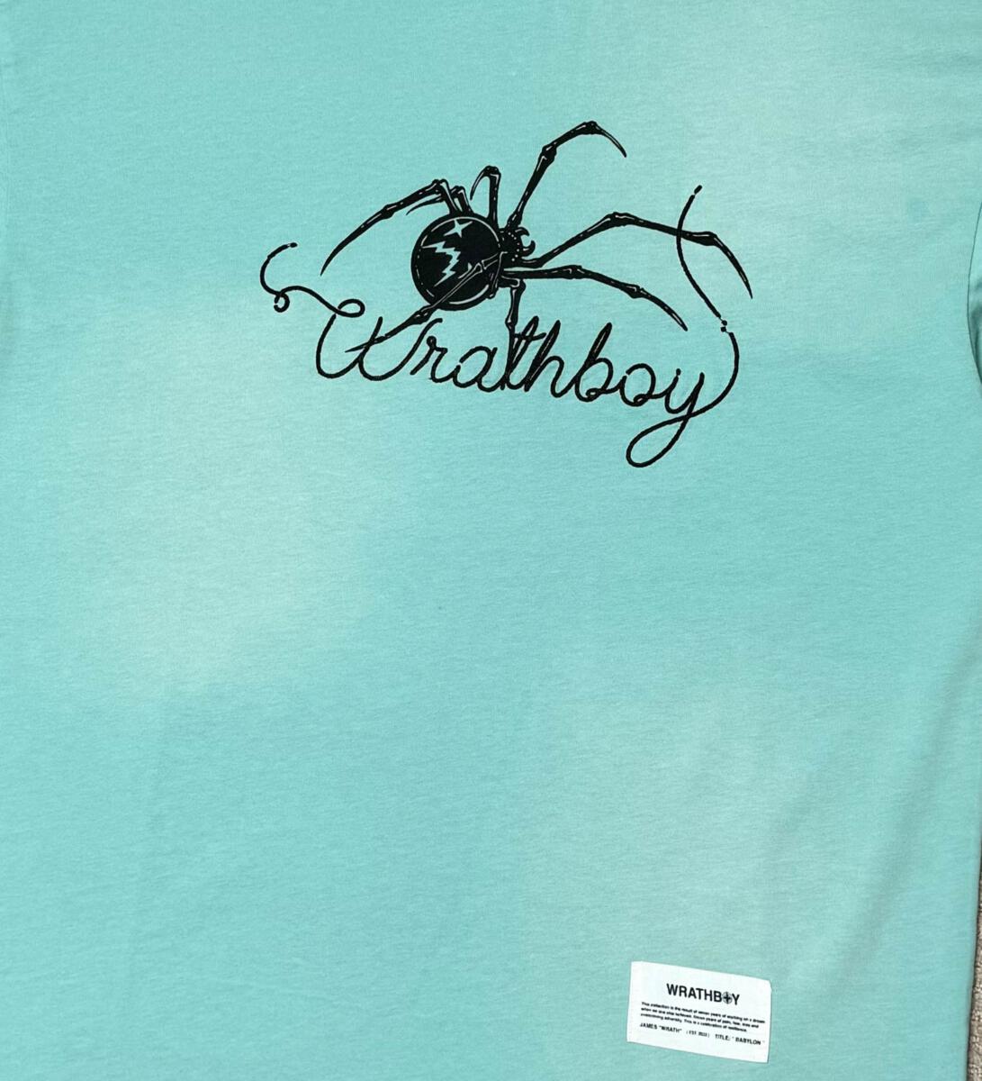 WRATHBOY CAUGHT IN WEB TEE-SAGE