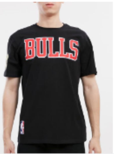 PRO STANDARD Chicago Bulls Tackle Twill Sj Tee (BCB156174)-BLK