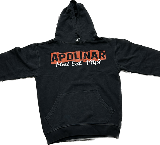 APOLINAR CITY TALK HOODIE  PLR-001 GREY